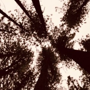 Meet your Posher, Erick